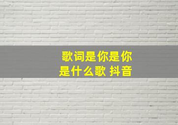 歌词是你是你是什么歌 抖音